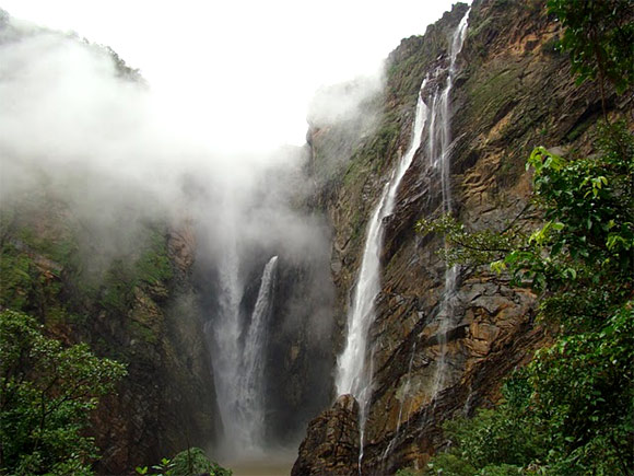 The Western Ghats mountain chain is recognised as one of the world's eight hottest hotspots of biological diversity.