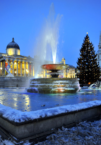 The Norwegian Christmas tree is seen illuminated in Trafalgar Square in London.