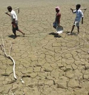 Labourers walk through a parched land of a dried lake on the outskirts of Agartala.