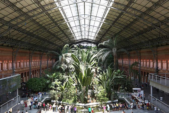 A display of tropical plants fills Atocha central station.