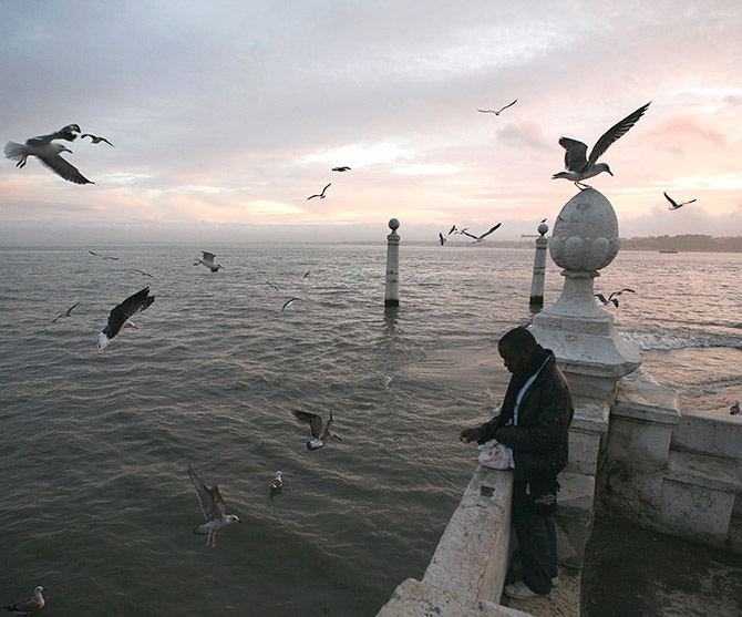 A man feeds seagulls at the 'Cais das Colunas', in front of the Tagus River in Lisbon.