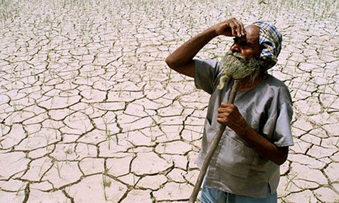 Drought-hit farmer