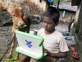 Harish, 11, a school boy, uses a laptop provided under the 'One Laptop Per Child' project by a non-governmental organisation as a calf stands next to him, on the eve of International Literacy Day at Khairat village, about 90 km from Mumbai.