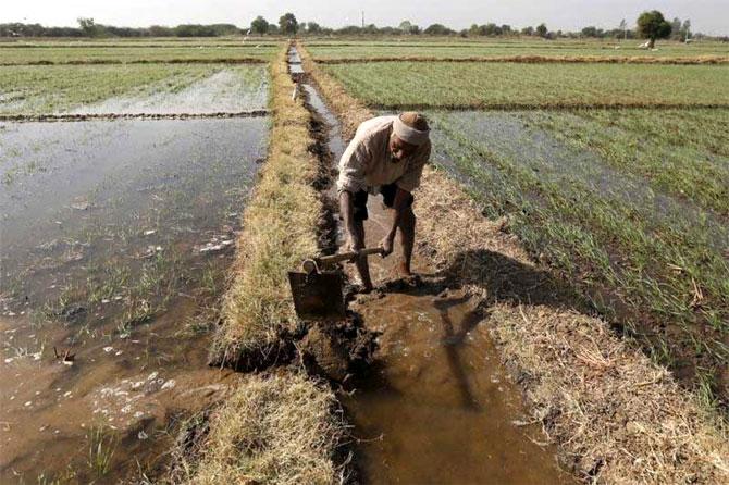 Land Reforms Fail Only 5 Of India S Farmers Control 32