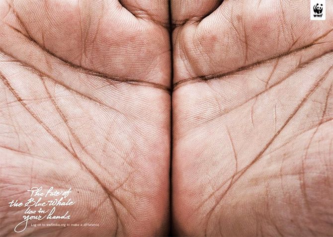 This 2009 O & M campaign for WWF, that Piyush Pandey's team created,  won much praise