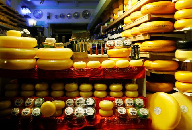 Dutch cheese displayed in a shop window in Edam, near Amsterdam, Netherlands, February 10, 2017. Photo: Francois Lenoir/Reuters