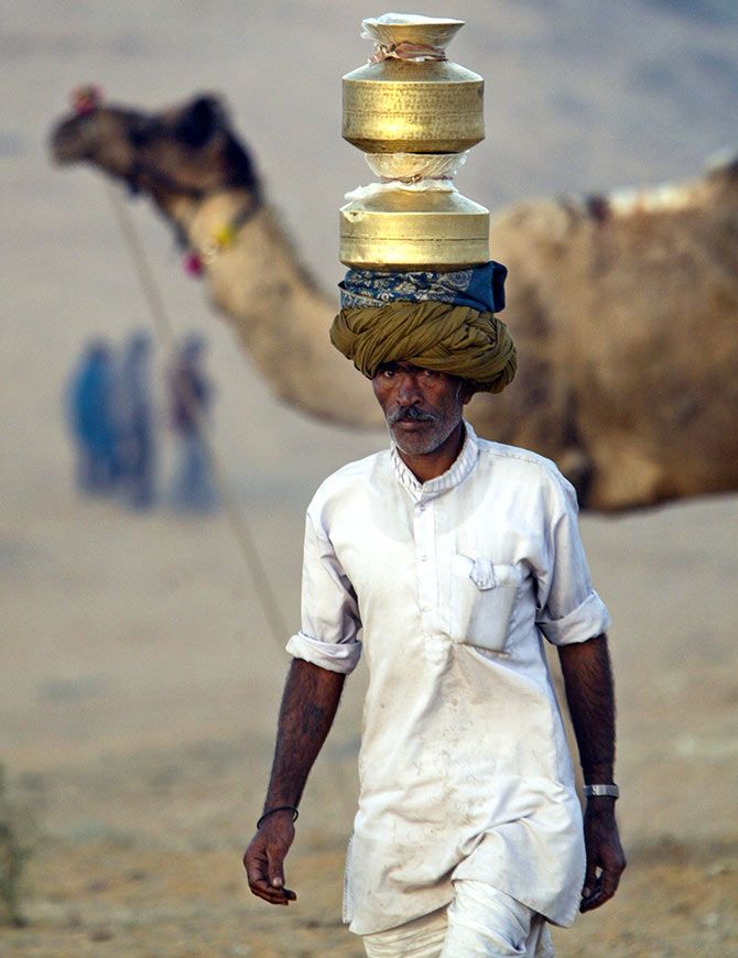 A Rajasthani milkman brings milk at the Pushkar fair, Rajasthan, November 15, 2005. Photograph: Kamal Kishore/Reuters