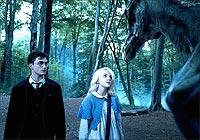 A still from Harry Potter And the Order of the Phoenix