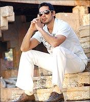 Dino Morea