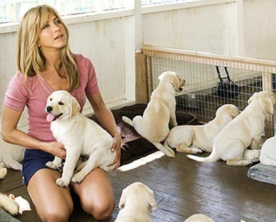 A scene from Marley & Me