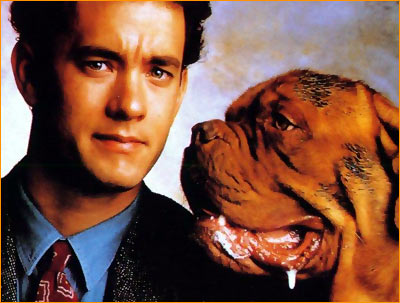 A scene from Turner and Hooch