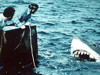 A scene from Jaws