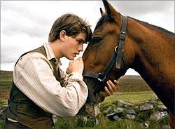 War Horse