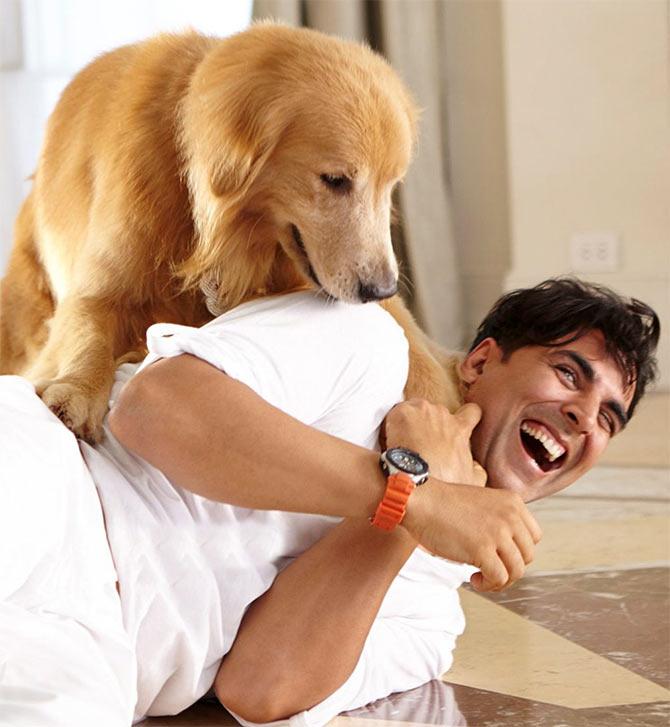 The CUTEST dogs in the movies! - Rediff.com Movies