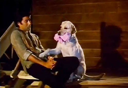 Sunny Deol with Bozo the dog in Betaab