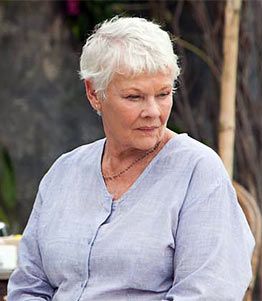 Judi Dench in a scene from The Best Exotic Marigold Hotel