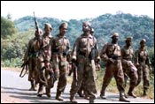 STF commandos searching for Veerappan in the Walayar forests of Kerala