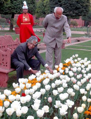 President Kalam inspecting the flowers in the Mughal Gardens