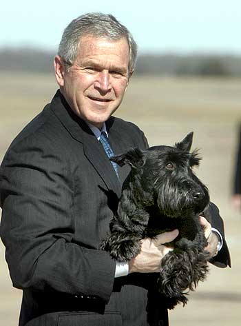 Bush acknowledges the crowd while taking his dog, Barney, for a walk at Waco, Texas