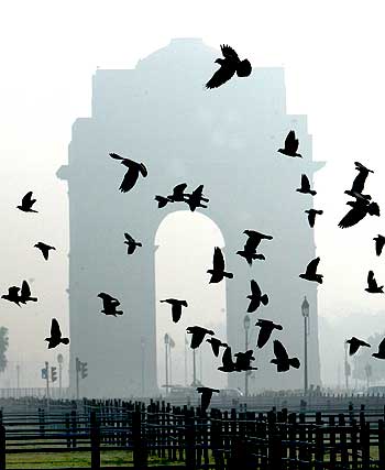 Doves fly near India Gate, on a cold foggy morning in New Delhi