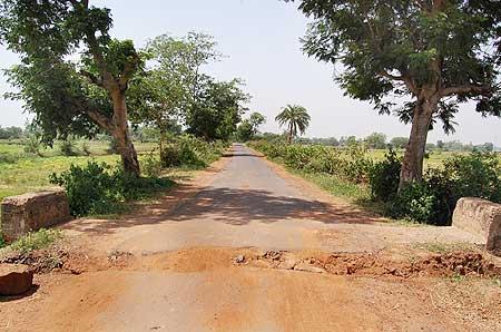 A road dug up by Maoists to delay security peronnel's movement to Lalgarh