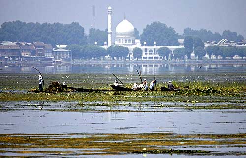 The picturesque Dal lake, now filled with weeds