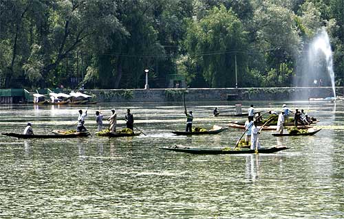 Kashmiri workers manually remove weeds from the polluted lake. The lake, which once covered 30 sqkm has shrunk to half that size over the past four decades