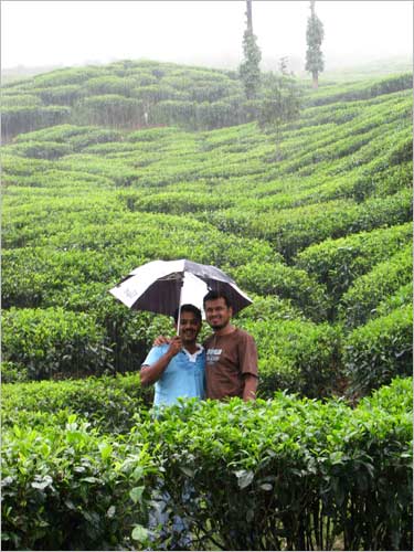 Two friends enjoying rains in the lush green tea gardens of Wayanad.
