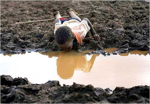 A boy drinks water from a pond. Prolonged drought, lack of water and limited pasture have led to conflict between the Somali and Borena ethnic groups in southern Ethiopia