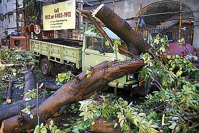 A vehicle was crushed under an uprooted tree in Kolkata