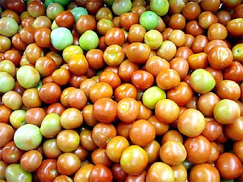 Tomatoes at a grocery store