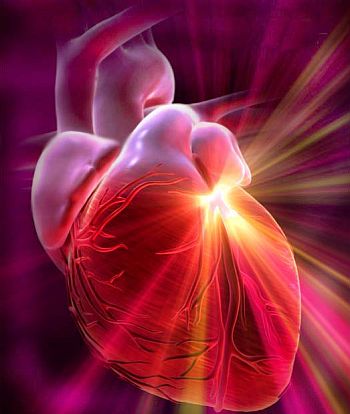 heart attack symptoms in men. Symptoms of heart attack in