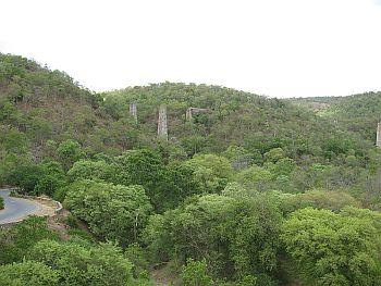 The Nallamala forest area