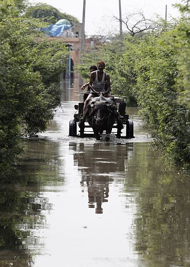 Local residents travel on a buffalo cart through a flooded road in New Delhi on Tuesday