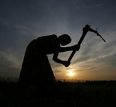 A farmer working in a paddy field is silhouetted against the setting sun