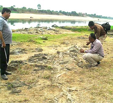 Scientists inspect the site where the fossils were found