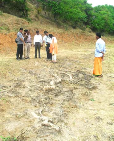 Scientists inspect the site where the fossils were found
