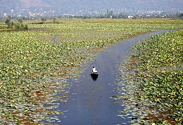A Kashmiri man rows a boat through the polluted waters of Dal Lake in Srinagar