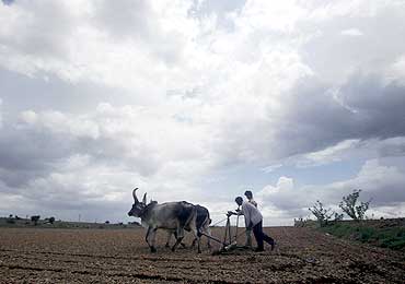 Farmers plough their field as the monsoon clouds cover the sky in Gondal town, Ahmedabad