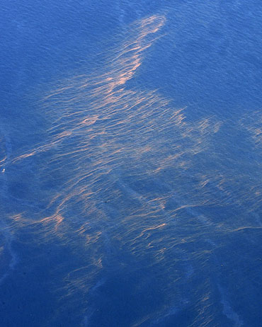 Bands of oil float on the water near the site of the Deepwater Horizon oil spill in the Gulf of Mexico