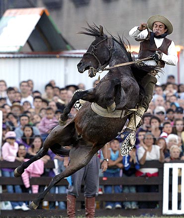 A gaucho rides an untamed or unbroken horse during the event