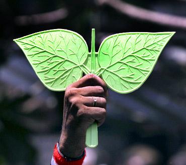 An AIADMK supporter holds the party's election symbol after it won the assembly polls in Tamil Nadu in front of Jayalalithaa's residence in Chennai