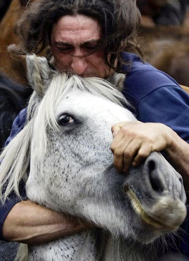 A reveller tries to hold on to a wild horse