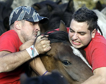 Revellers try to hold on to a wild horse