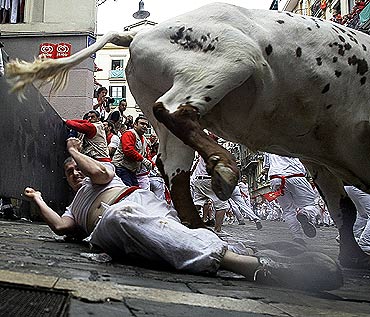 A reveller falls next to a steer during the first bull run