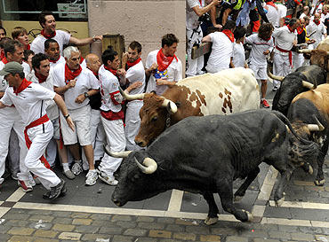 A runner leads Torrestrella bulls and steers