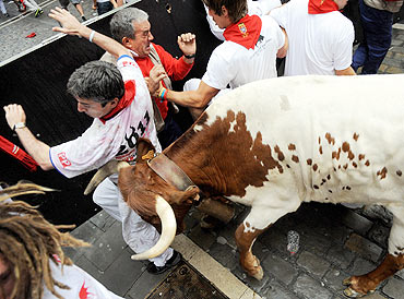 A man tries to avoid a steer that broke away from the pact of fighting bulls