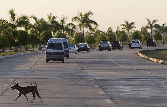 A dog crosses the road after Clinton's motorcade passes upon her arrival in Naypyidaw, Myanmar