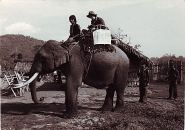 Bertil Lintner (on the elephant) on his way to an assignment in Kachin State in Myanmar