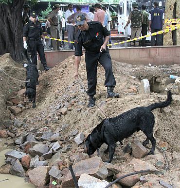 Commandos use sniffer dogs to search for evidence near the site of a bomb blast outside the high court in New Delhi
